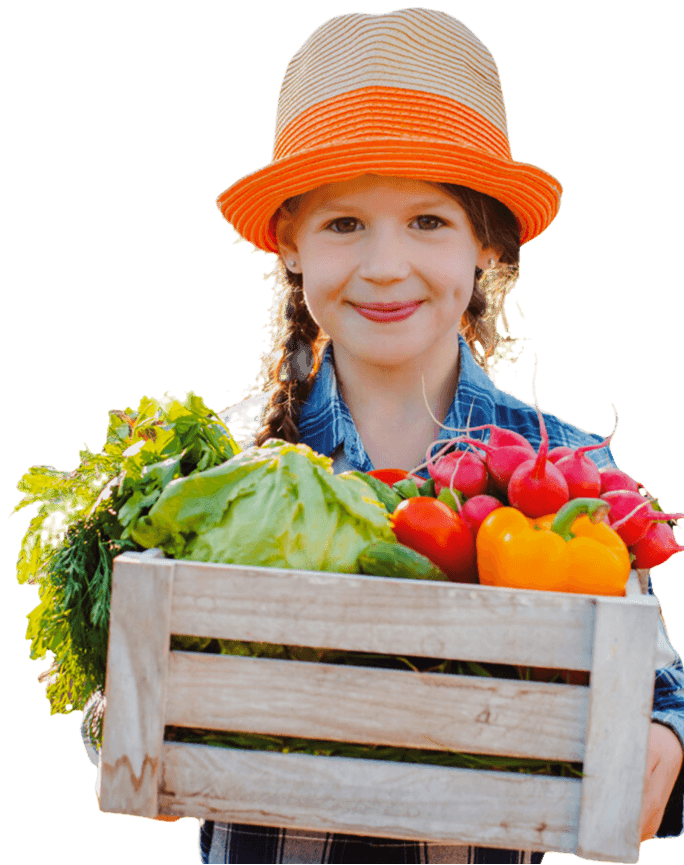 Girl holding fresh vegetable crate