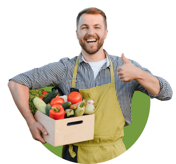 Fresh Harvests about illustration